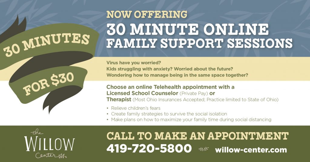 Family Therapy Sessions Online